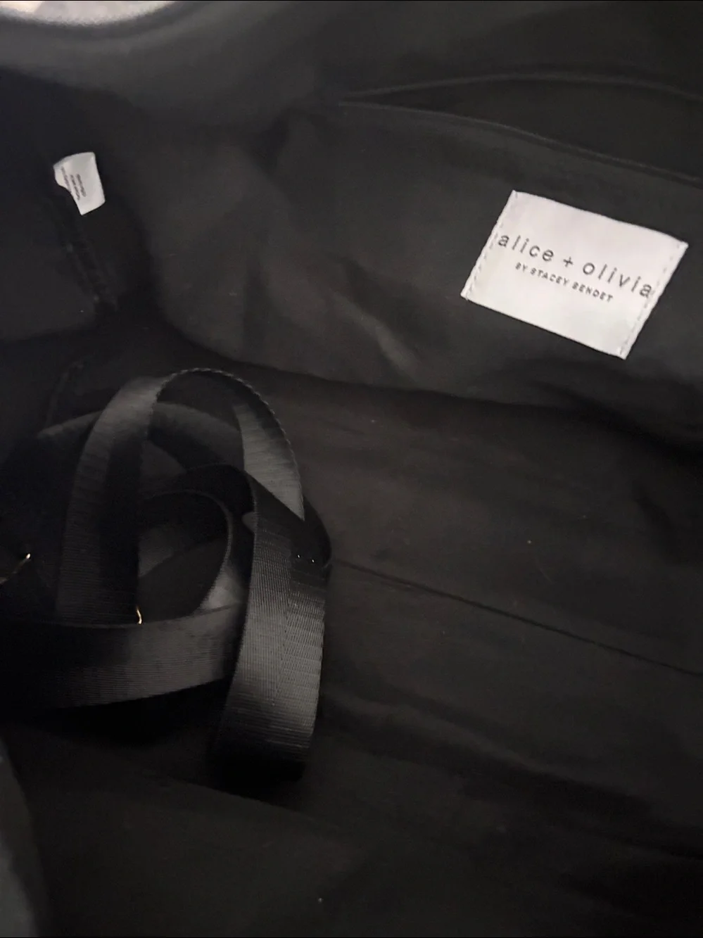Alice + Olivia By Stacey Bendet  Positano Striped Travel Duffle Weekend Bag NWOT
